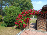 Kościół